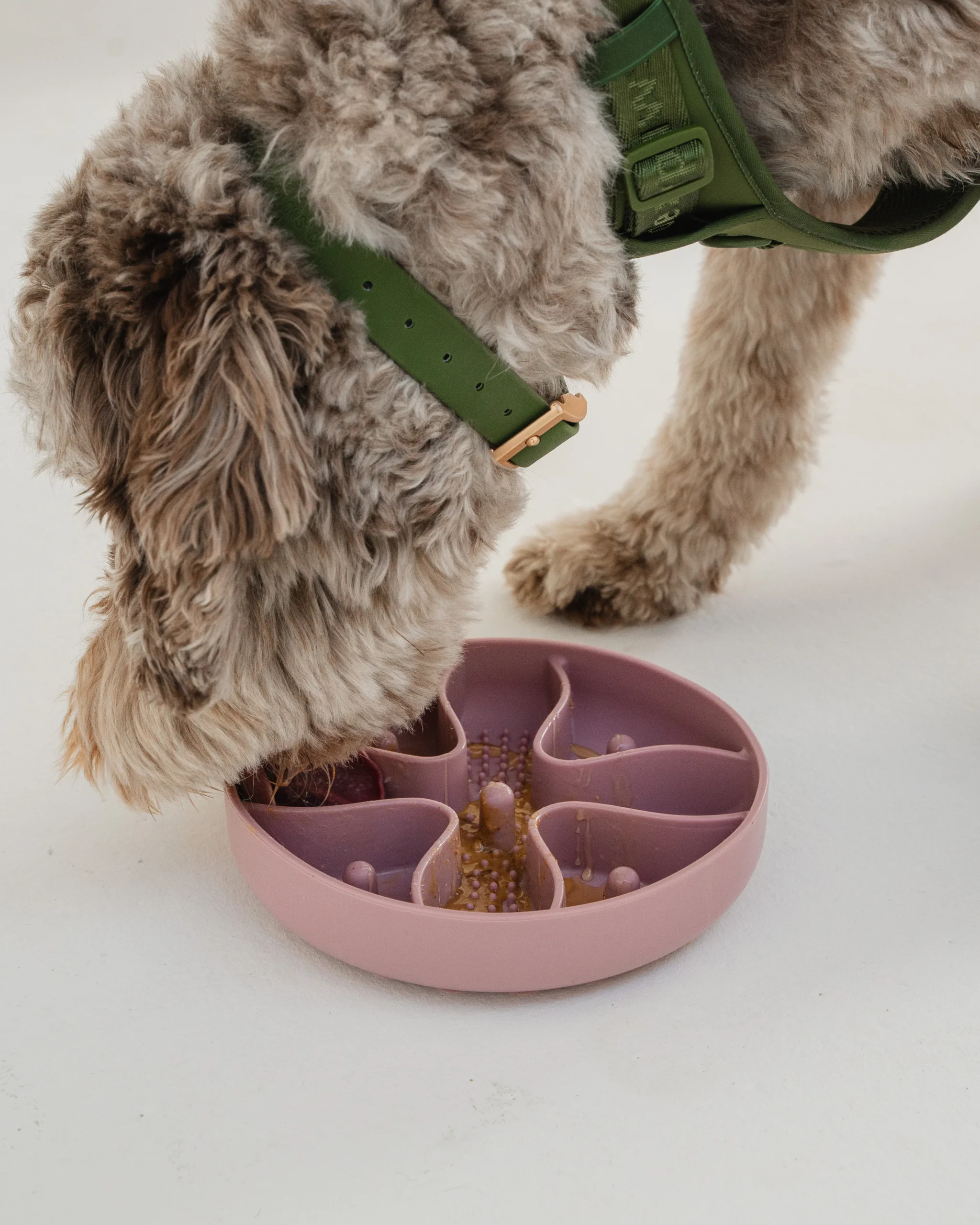 Bol En Silicone Anti-Glouton Rose Blush - Dexypaws