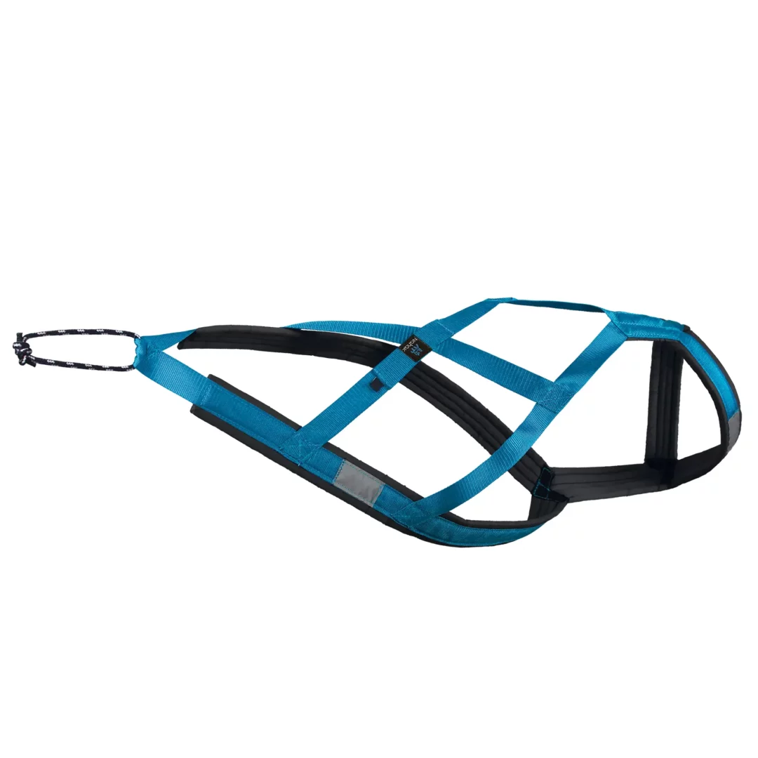 Harnais De Traction Nahak Bleu Aqua