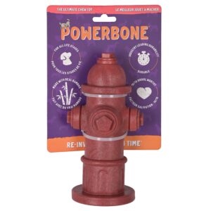 Powerbone Jouet à Mâcher Pour Chien, Nylon & Bambou - Borne Fontaine 7"
