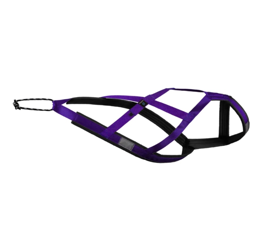 Harnais De Traction Nahak Mauve