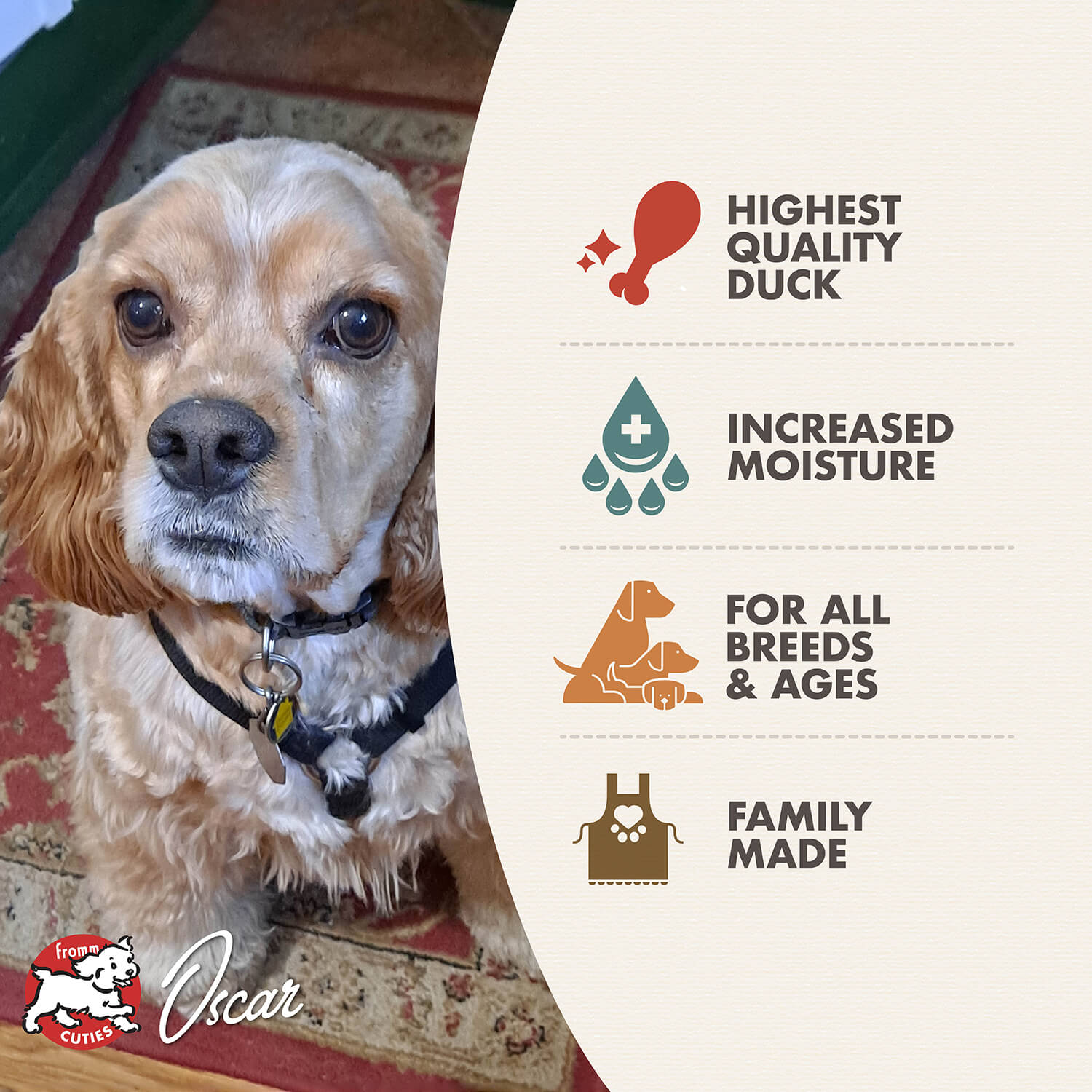 Fromm Pâté De Canard À La Veg Pour Chien En Conserve 345g