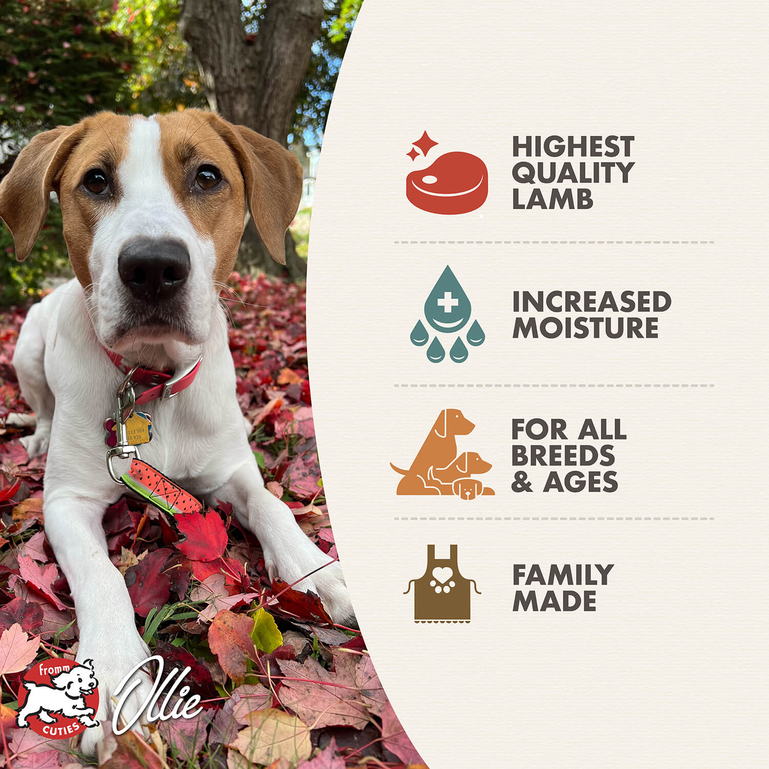 Fromm Pâté D'Agneau Et De Patates Douces Pour Chien En Conserve 345g