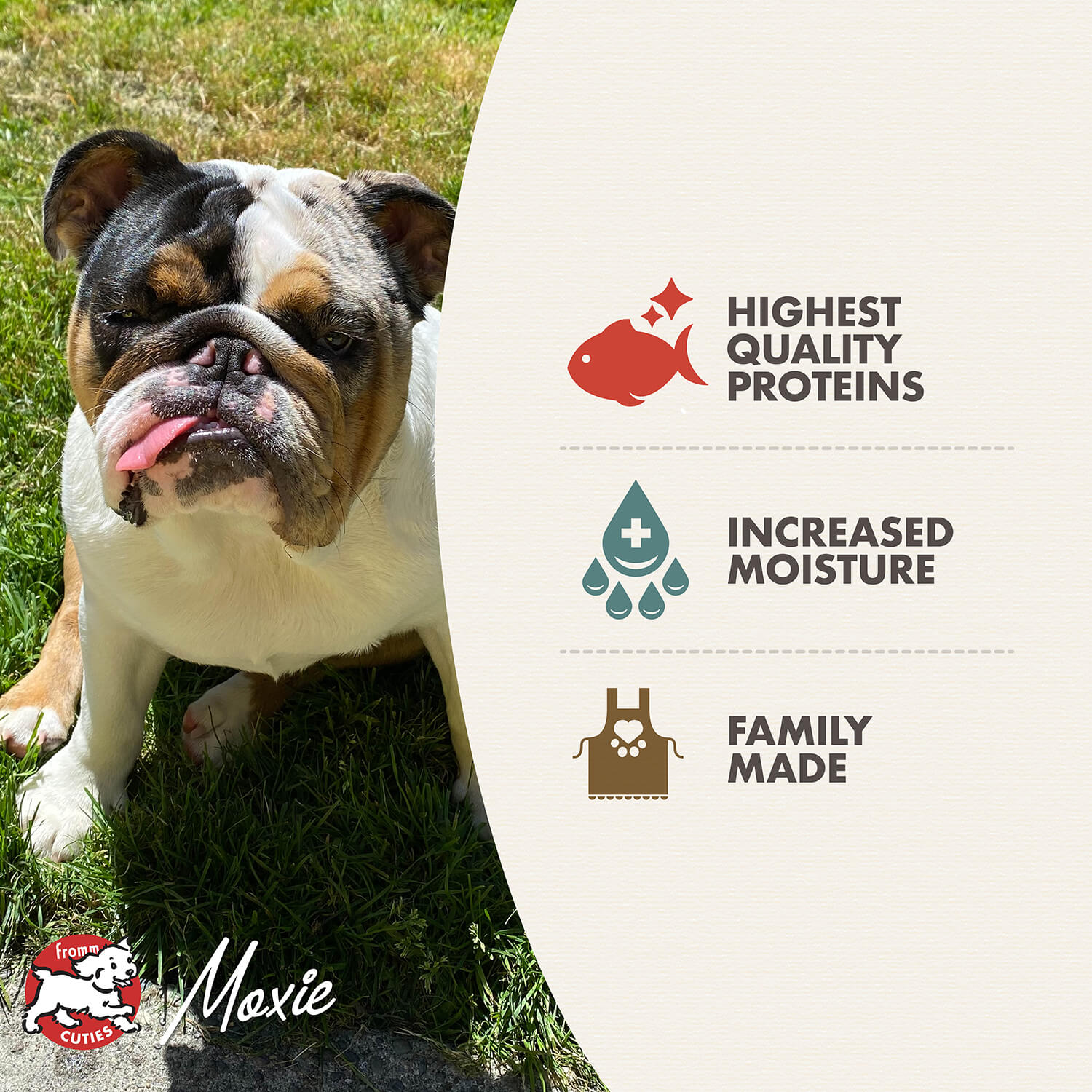 Fromm Pâté De Fruits De Mer Pour Chien En Conserve 345g