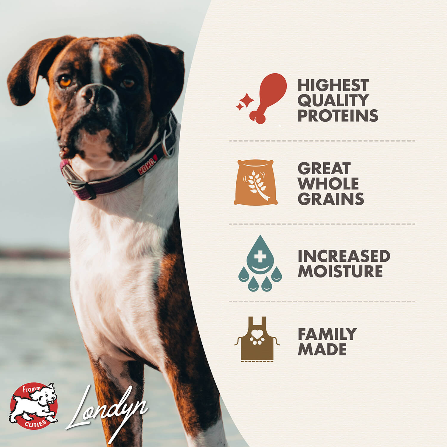 Fromm Pâté De Dinde De Canard Et De Patates Douces Pour Chien En Conserve 345g