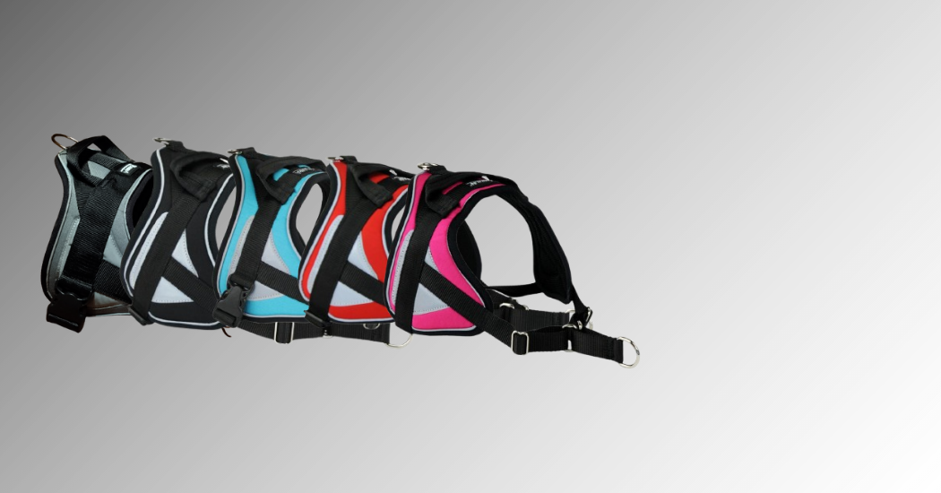 Harnais Animalin Reflex noir