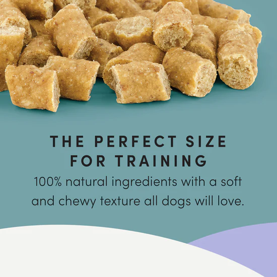 Crumps'Naturals Mini Trainers Semi-Humides Aux Canard