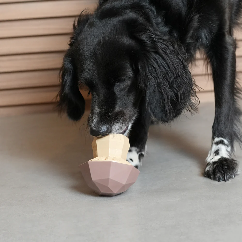Distributeur De Gâteries Champignon - Zeedog