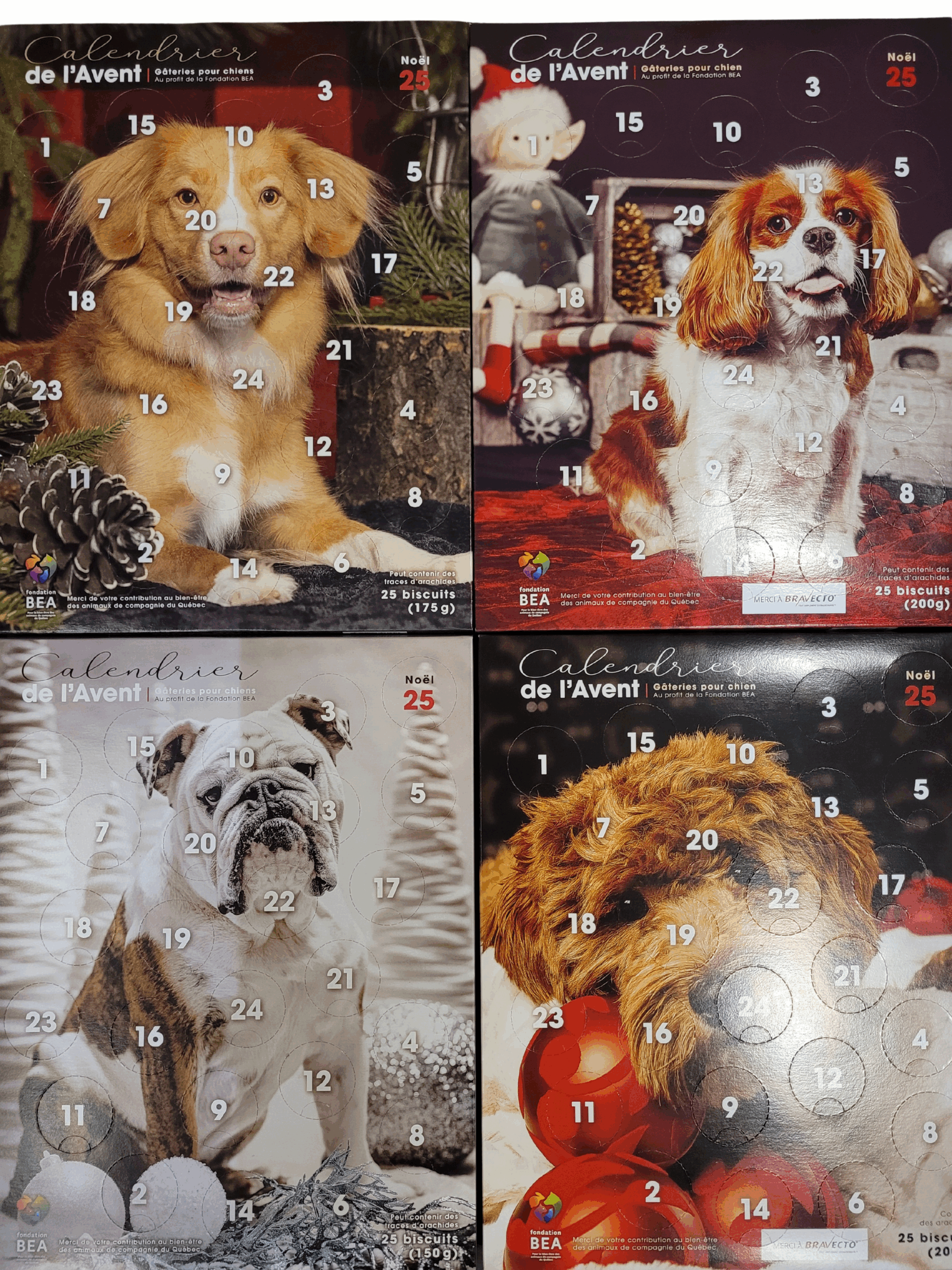 Calendrier de L'Avent 2025