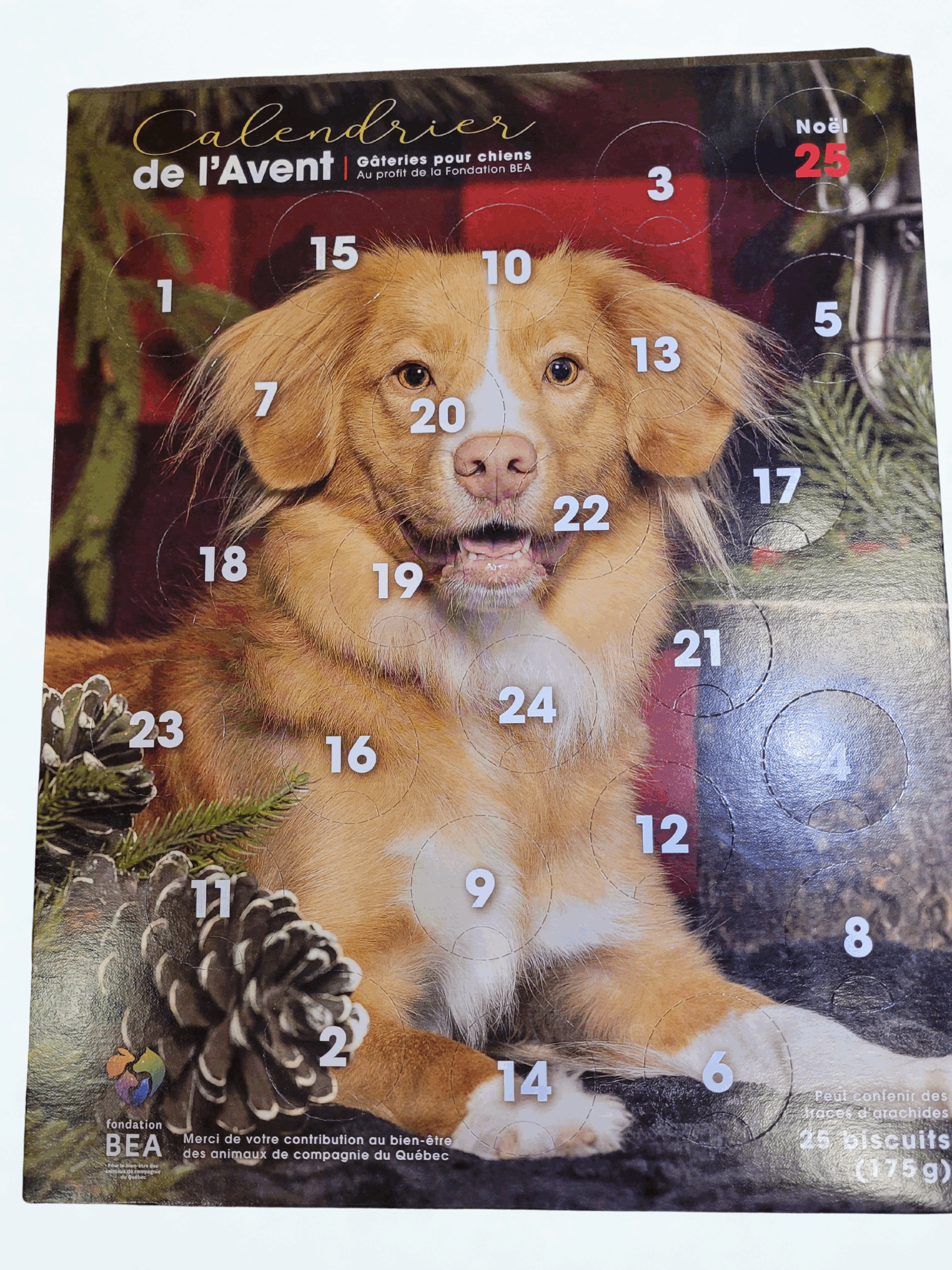 Calendrier de L'Avent 2025