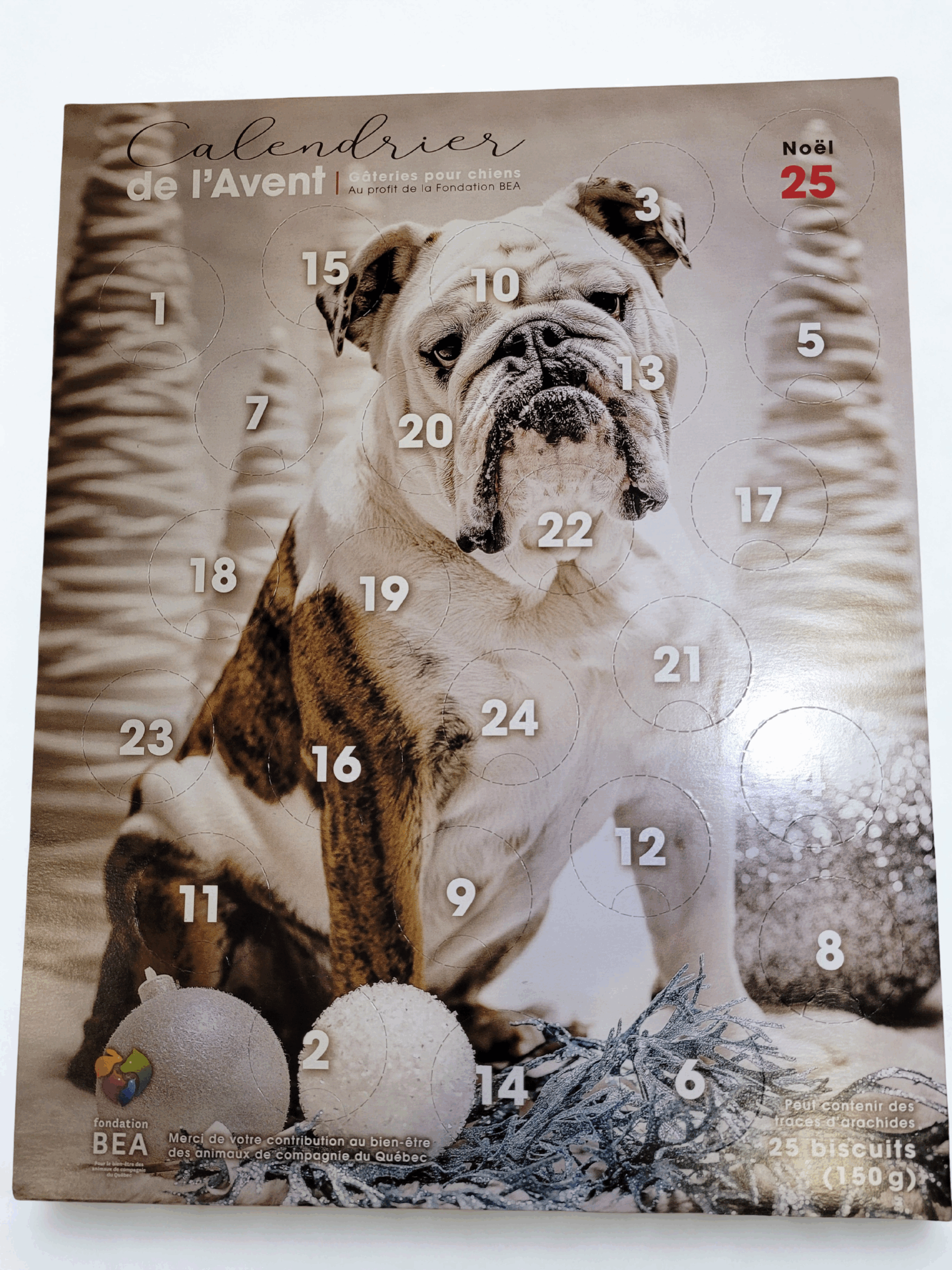 Calendrier de L'Avent 2025