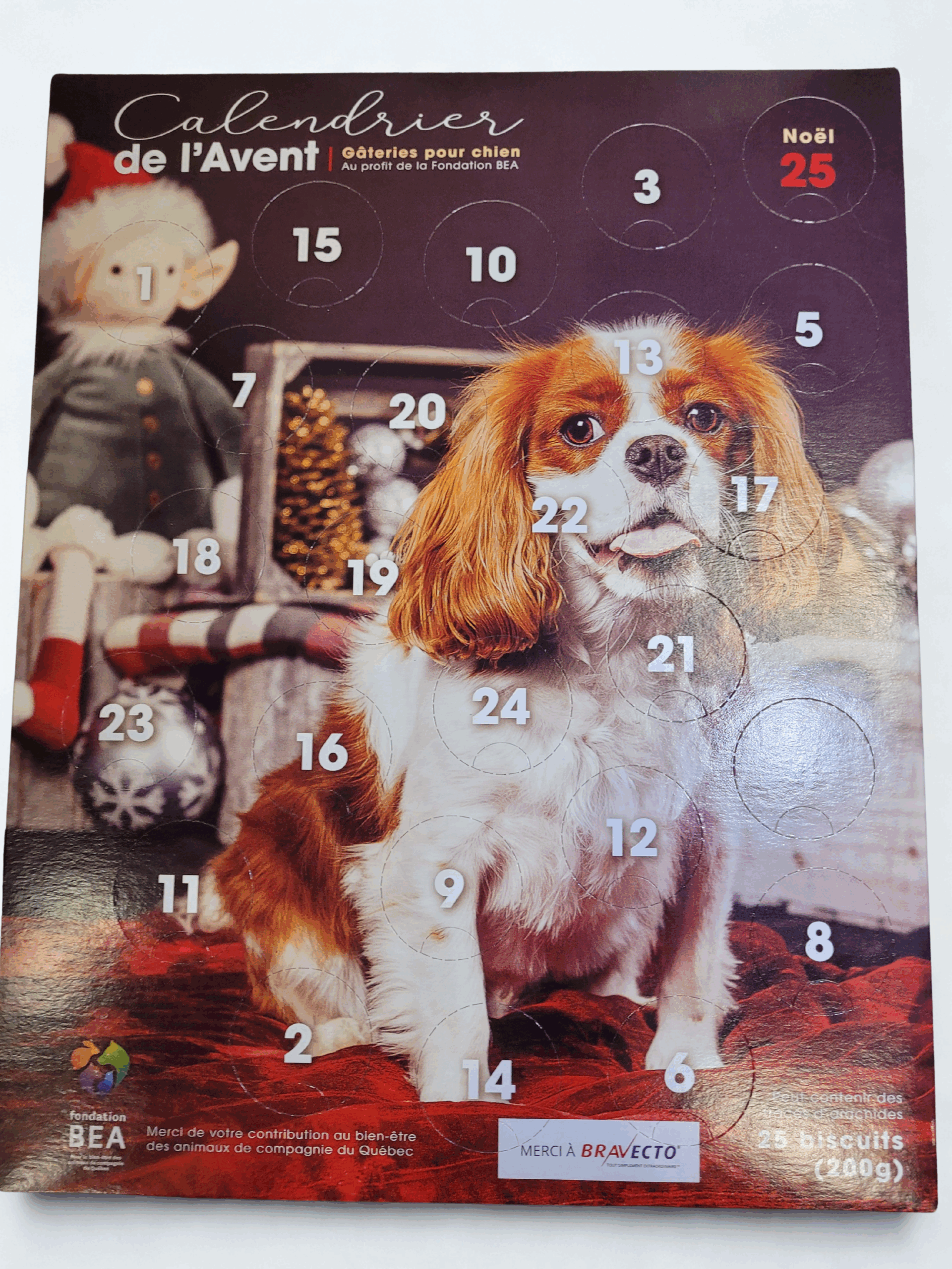 Calendrier de L'Avent 2025