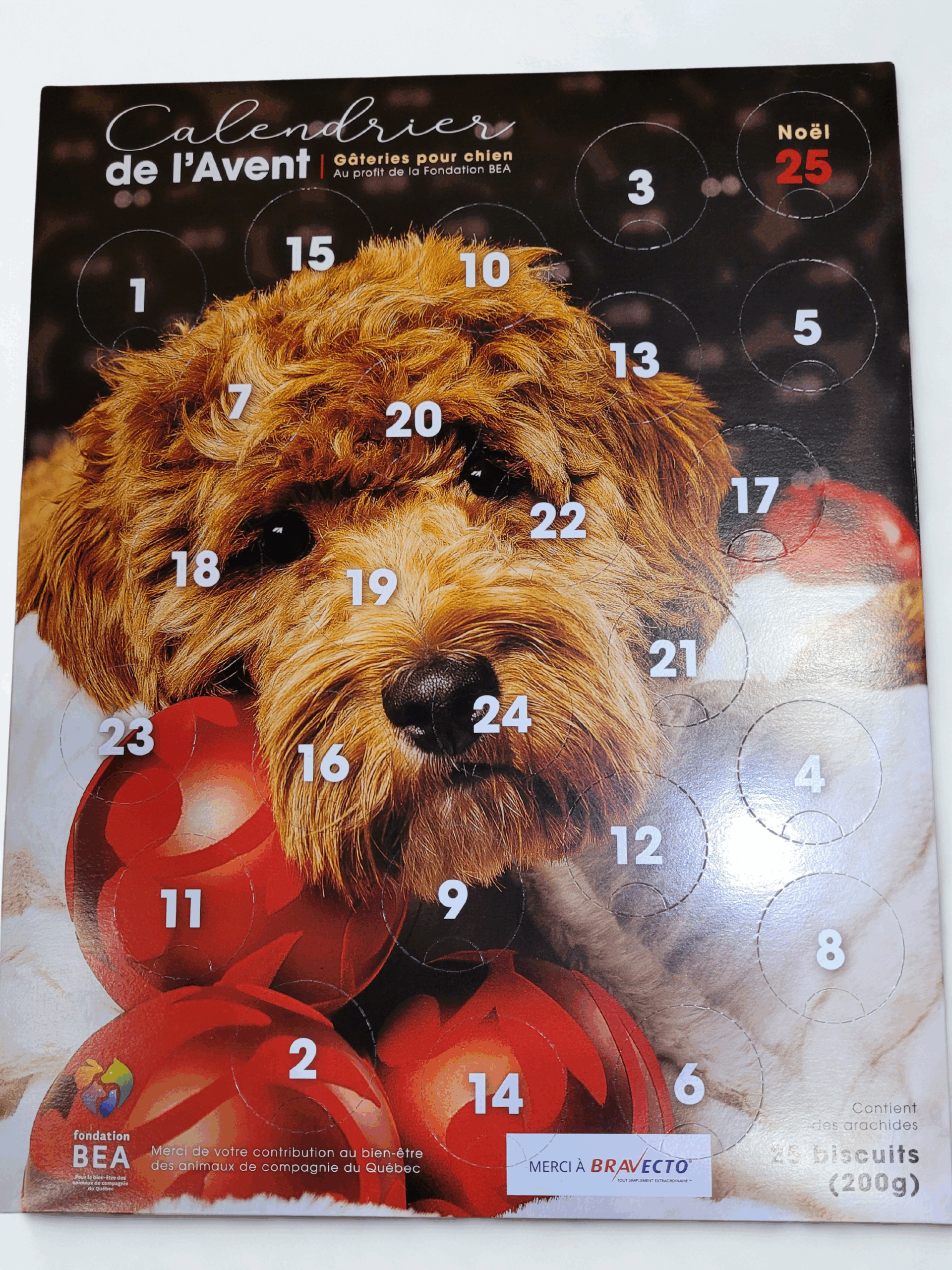 Calendrier de L'Avent 2025