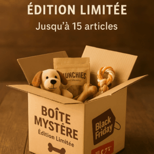 Boîte Mystère – Édition Black Friday (Quantités Limitées)