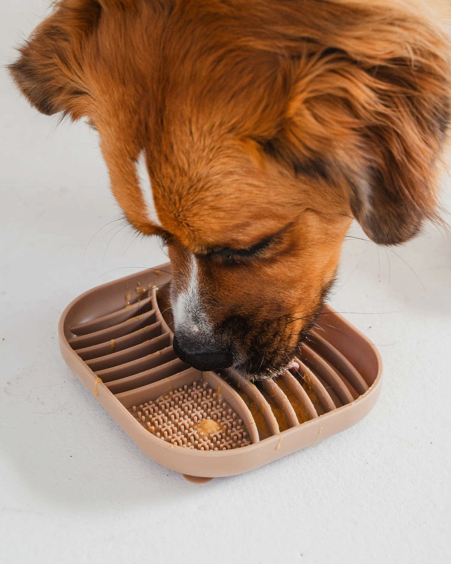 Tapis En Silicone Anti-Glouton - DexyPaws