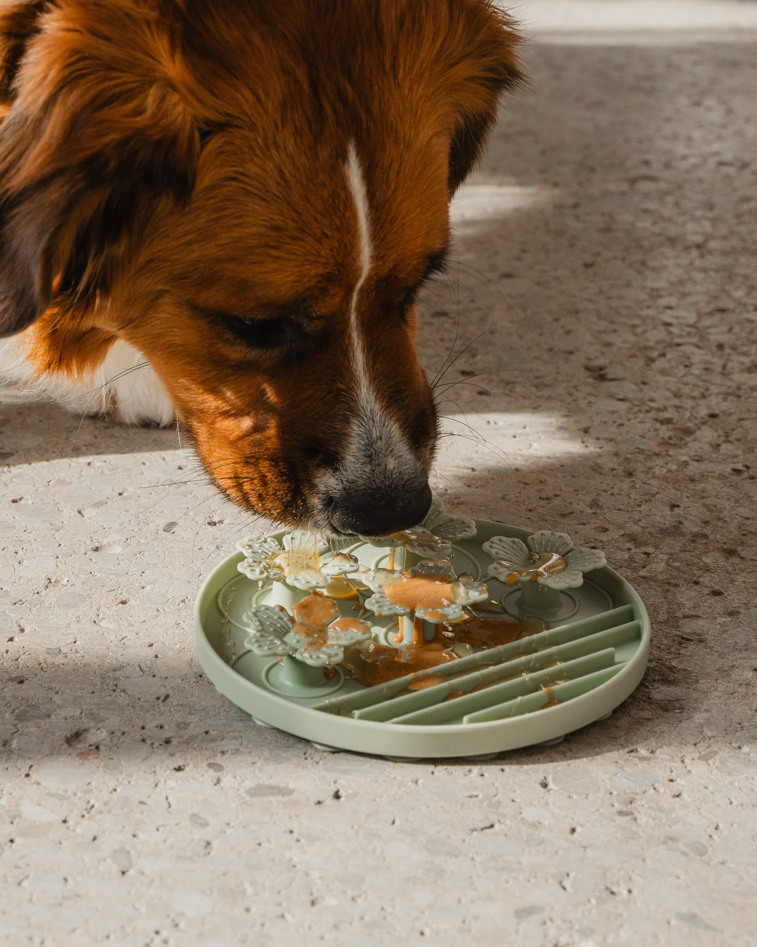 Tapis De Léchage Fleur - DexyPaws