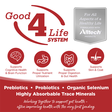 Conserve NutriSource Pure Vita entrée de boeuf