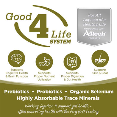 Conserve NutriSource Pure Vita entrée de Canard