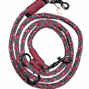 Laisse D'Entrainement - Soirée Au Chalet