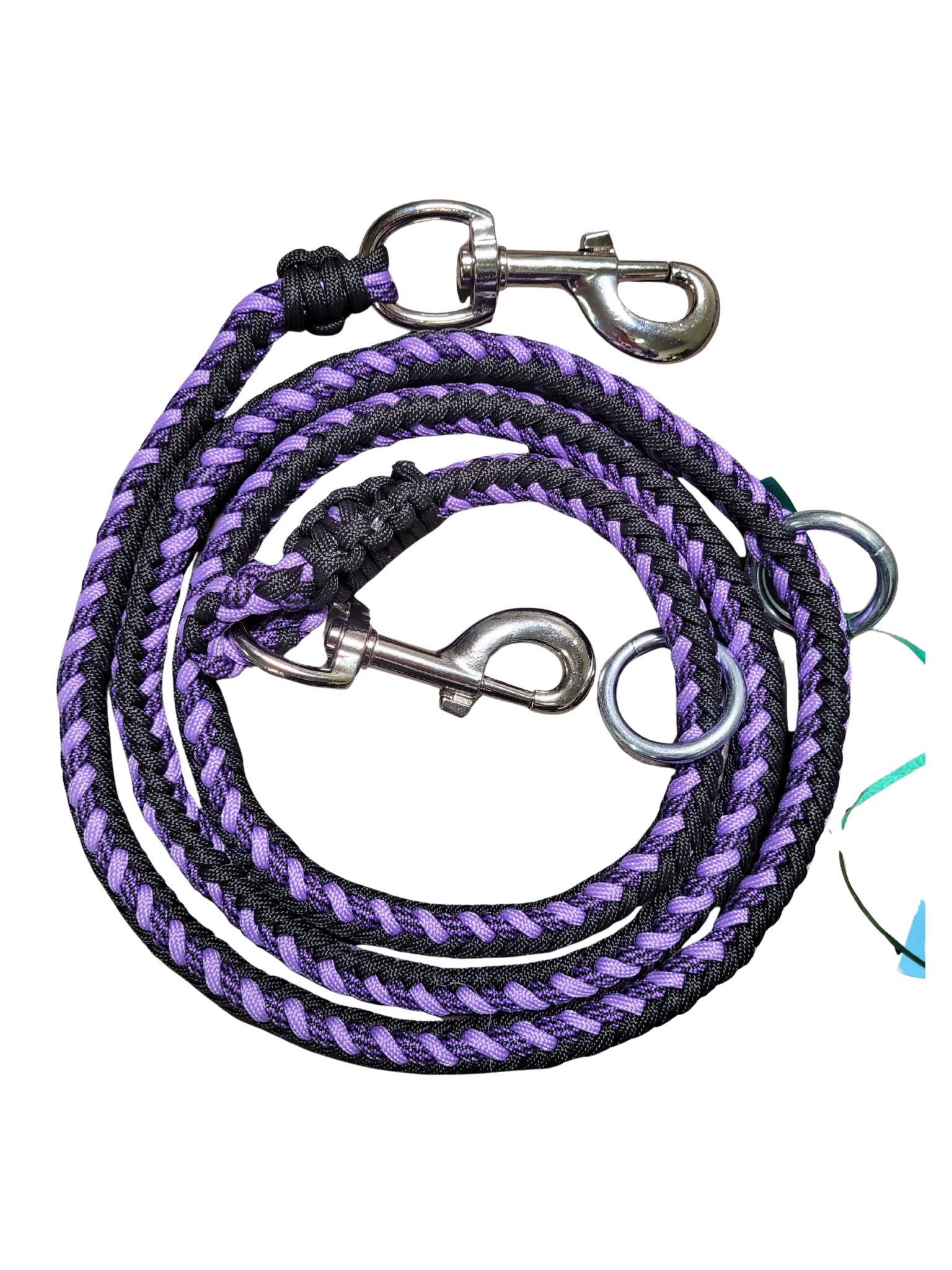 Laisse D'Entrainement - Éclipse Mauve