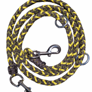 Laisse D'Entrainement - Abeille