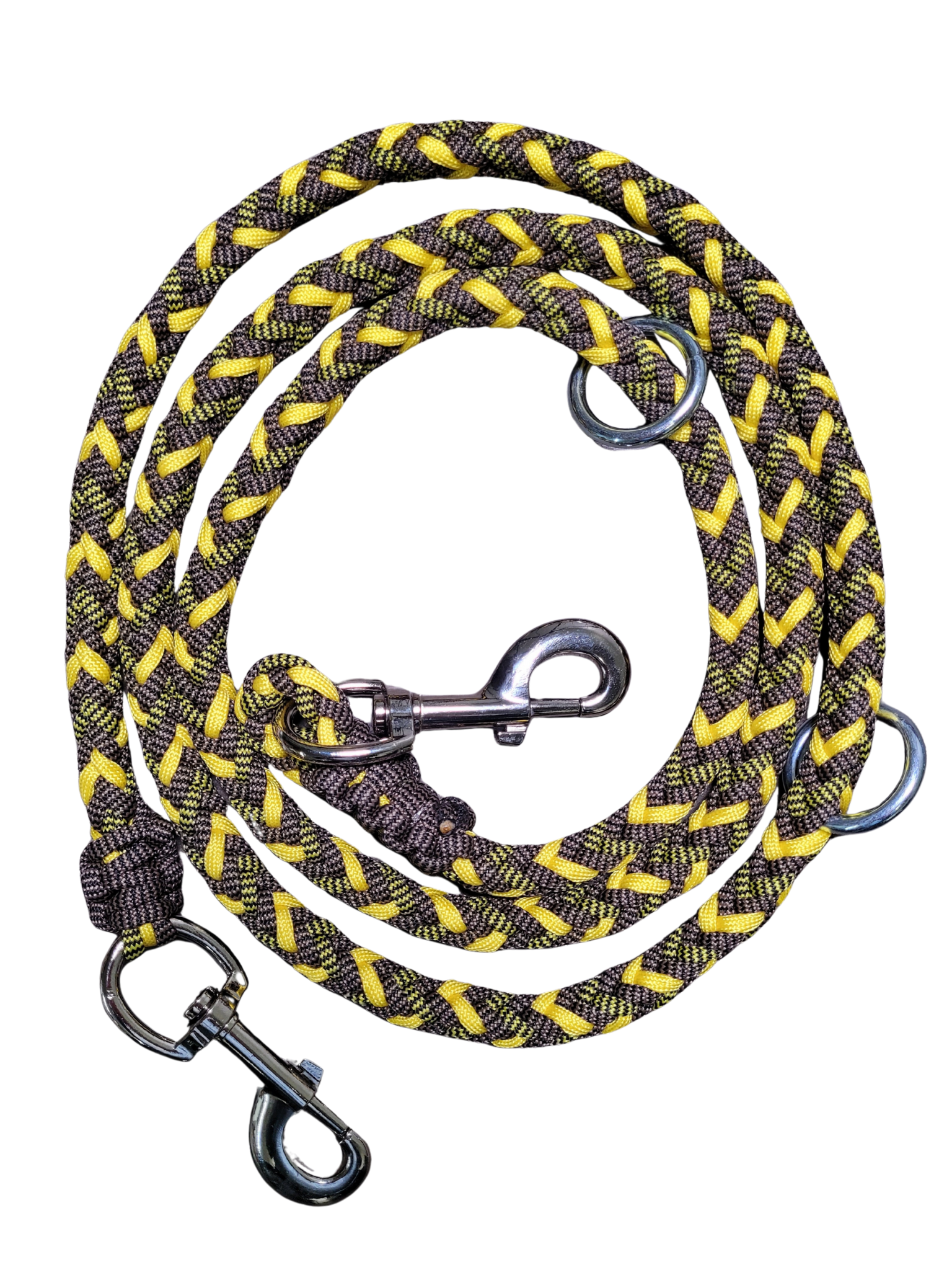 Laisse D'Entrainement - Abeille