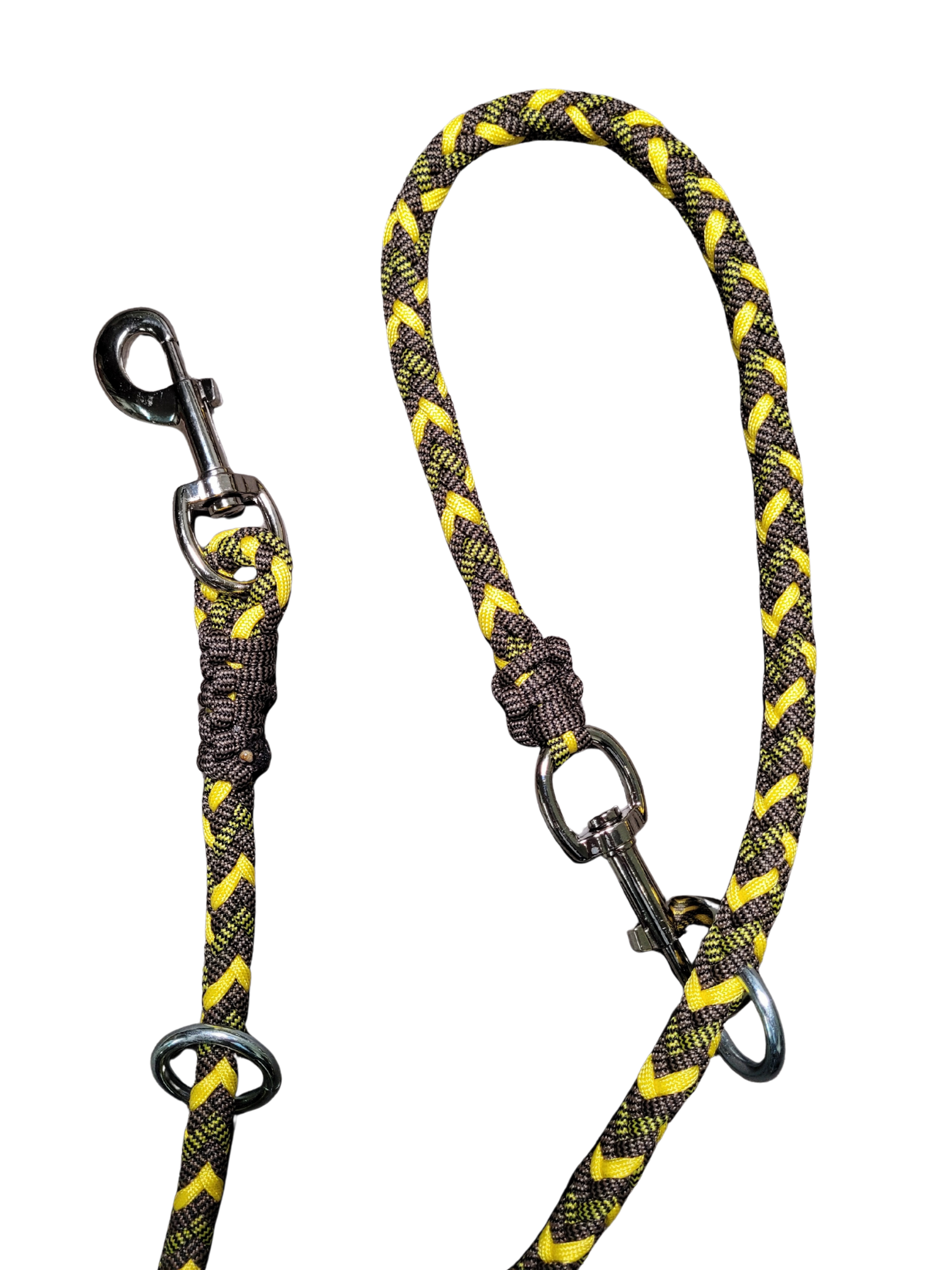 Laisse D'Entrainement - Abeille