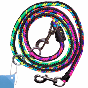 Laisse D'Entrainement - Multicolore