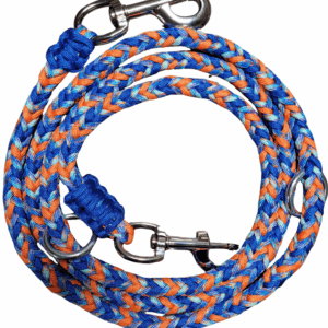 Laisse D'Entrainement - Guêpier d’Europe