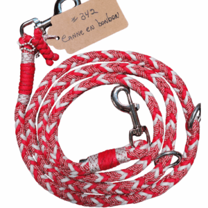 Laisse D'Entrainement - Canne En Bonbon