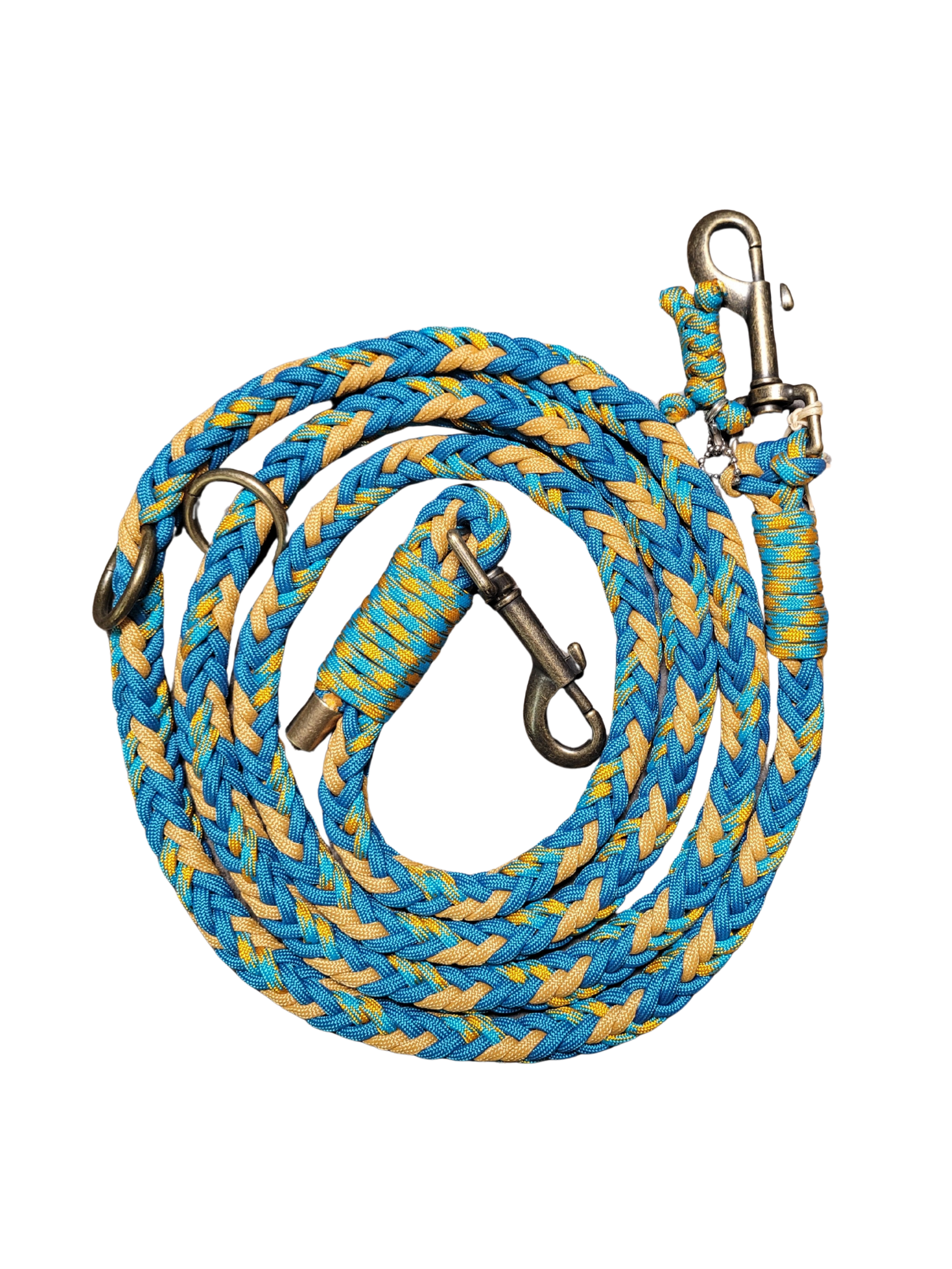 Laisse D'Entrainement - Bouton D'Or