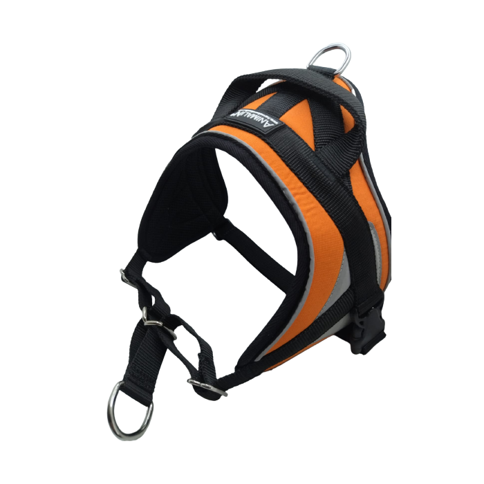 Harnais Animalin Reflex Plus orange fluo