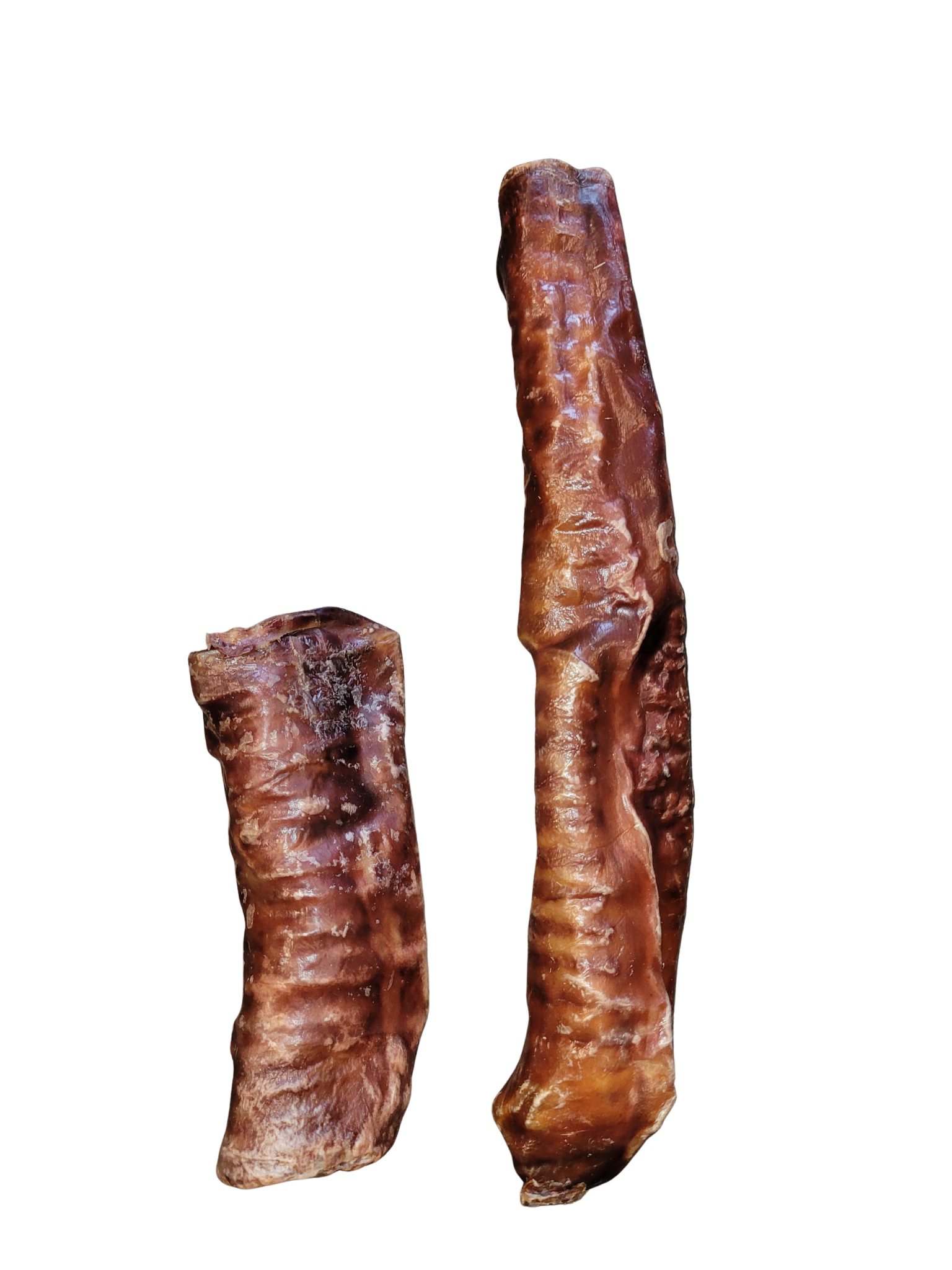 Trachée De Boeuf Enrobée De Pizzle