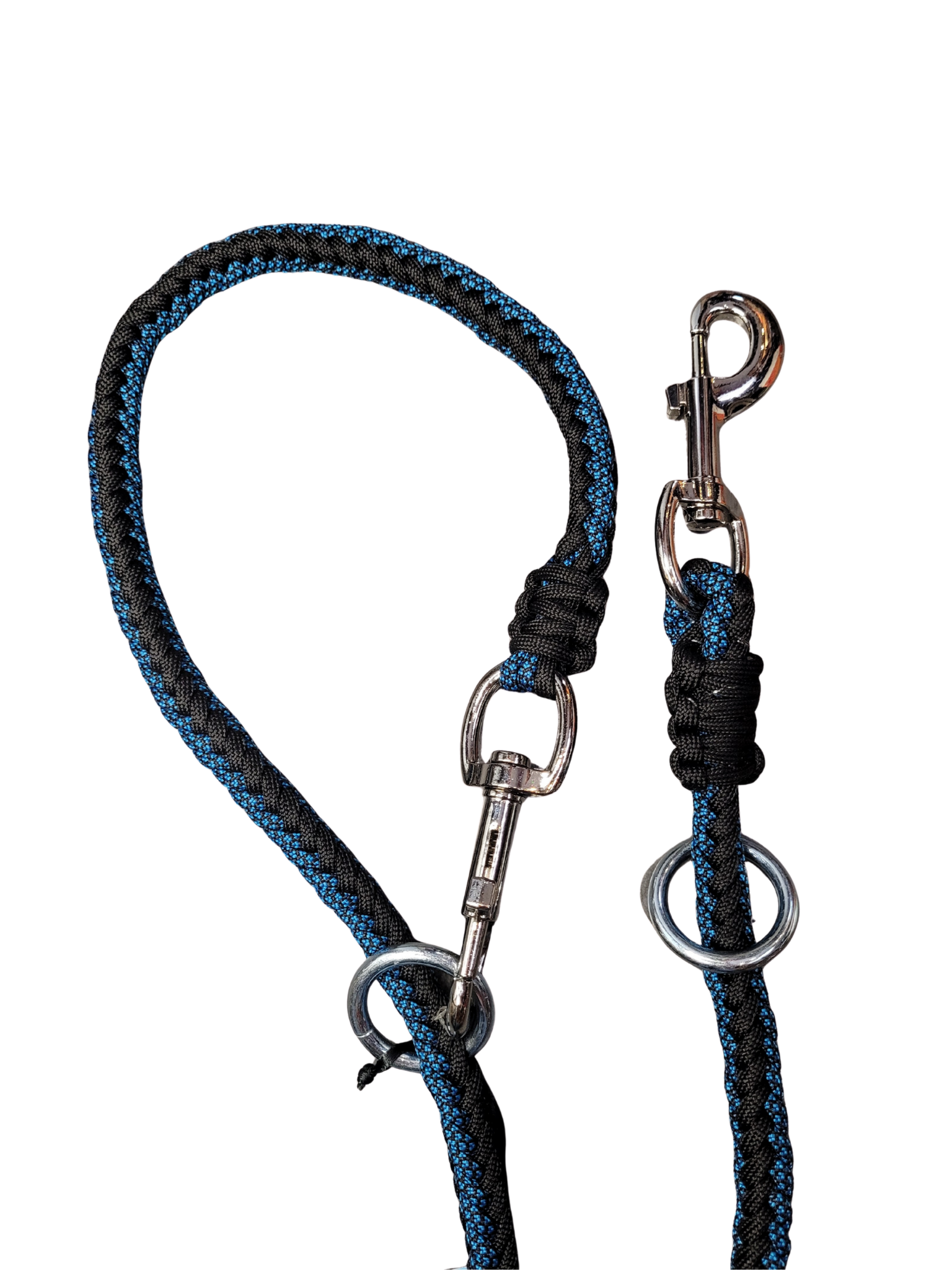 Laisse D'Entrainement - Écaille Nocturne