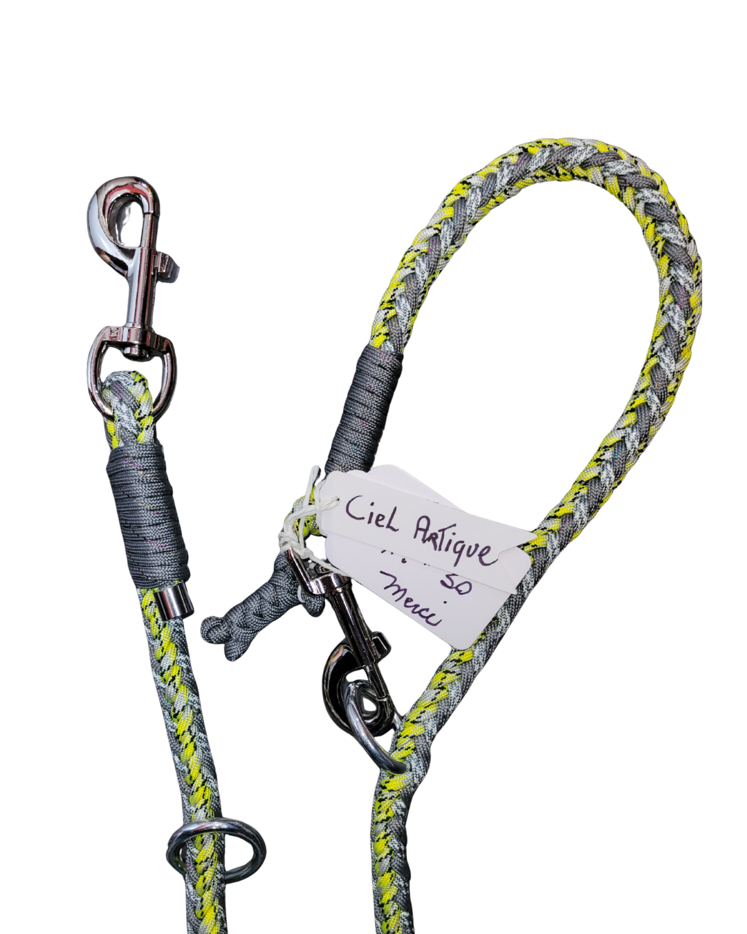 Laisse D'Entrainement - Ciel Artique