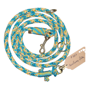 Laisse D'Entrainement - Boutons d'or