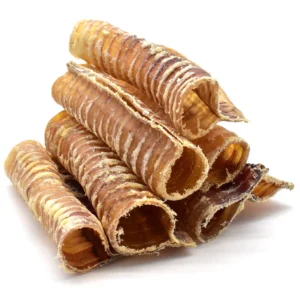 Trachée de bœuf 6 pouces - Kyon