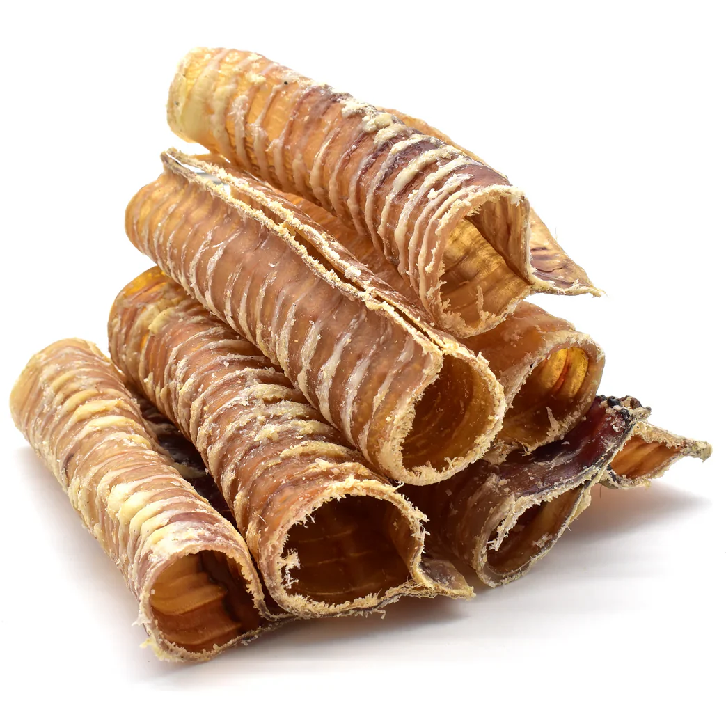 Trachée de bœuf 6 pouces - Kyon