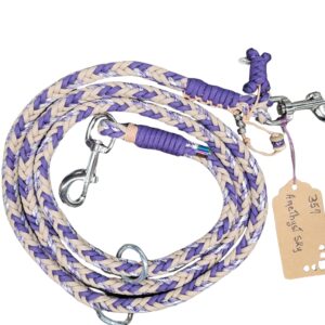Laisse D'Entrainement - Amethyst Sky