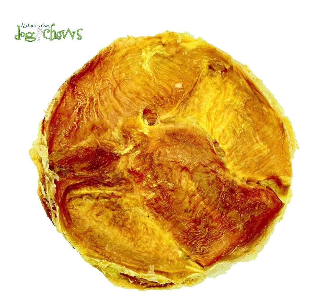 Frisbeef - Vessie De Boeuf En Forme De Frisbee 8-9''