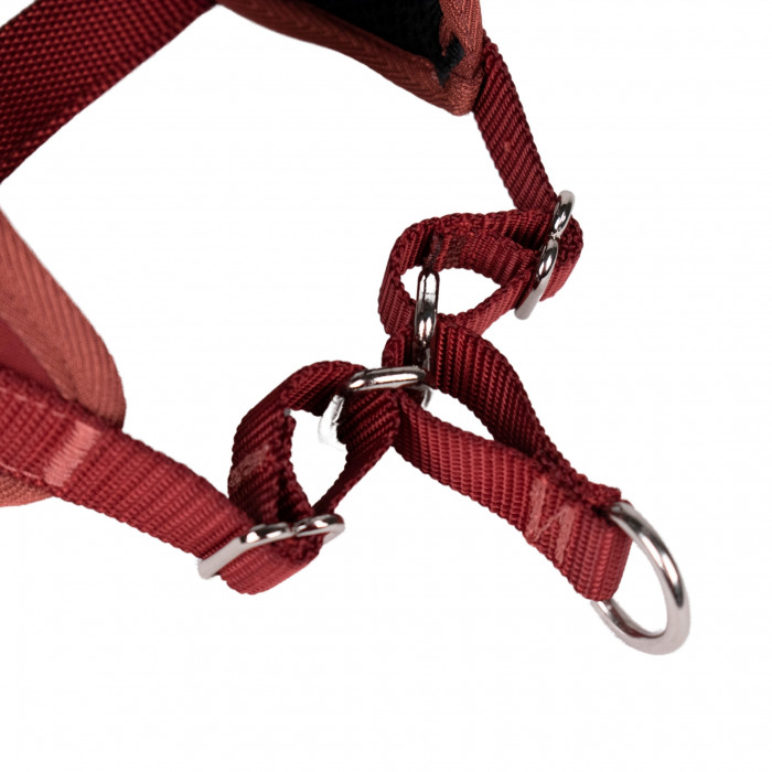Harnais Animalin Automne Bordeaux