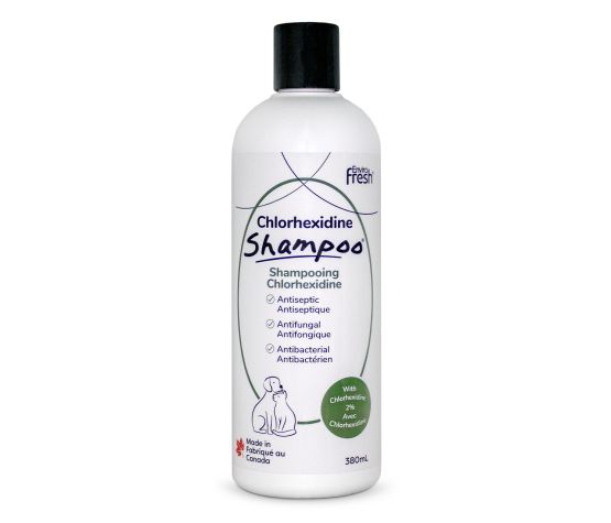 Shampoing Chlorhexidine EnviroFresh 380ml
