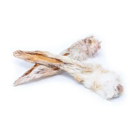 Oreille De Lapin Avec Fourrure
