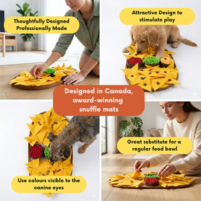 Tapis de fouille nachos fromagé