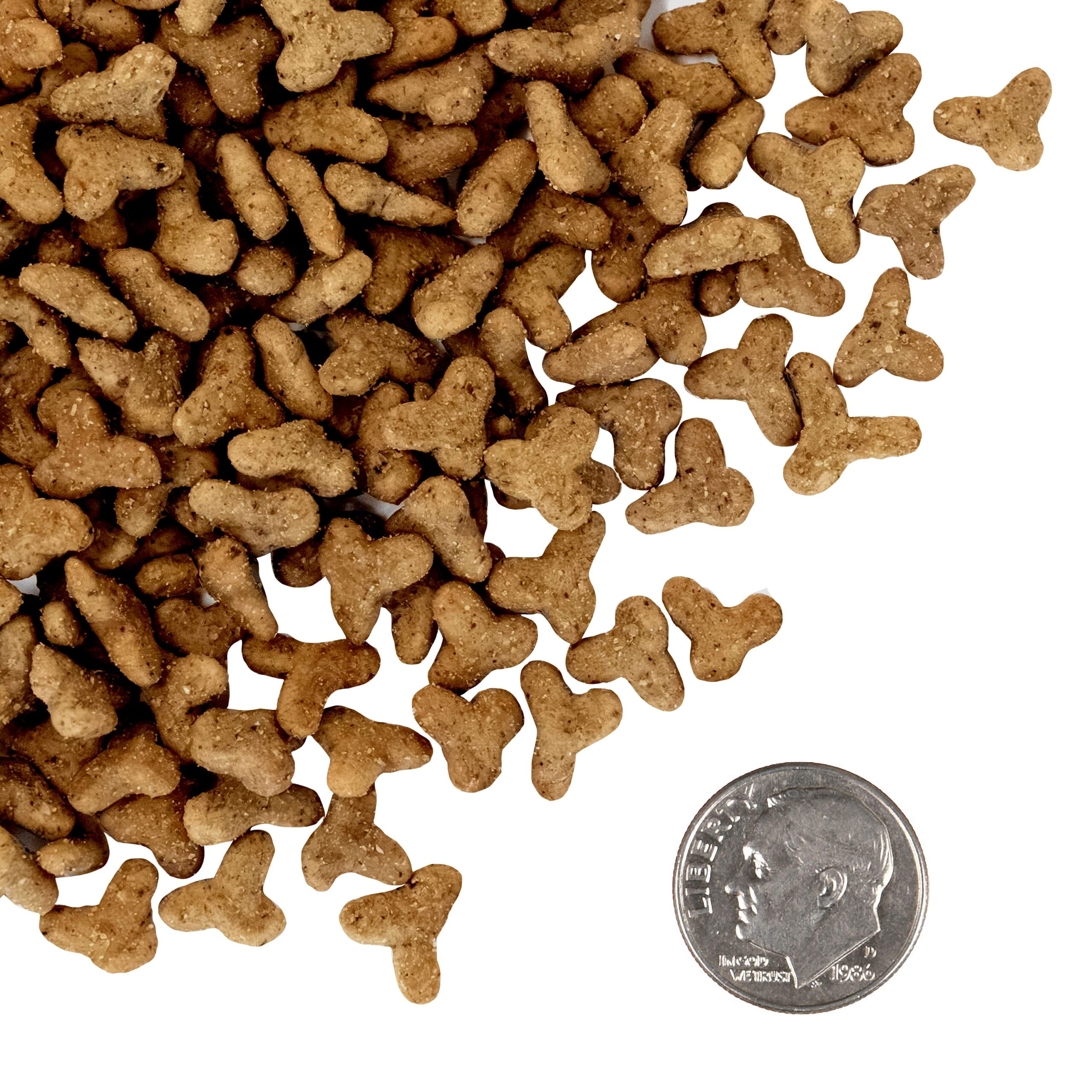 CHAT - Nourriture Au Saumon 170gr Fromm